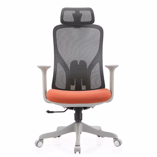 Silla de oficina giratoria ergonómica con diseño de respaldo doble de malla asequible